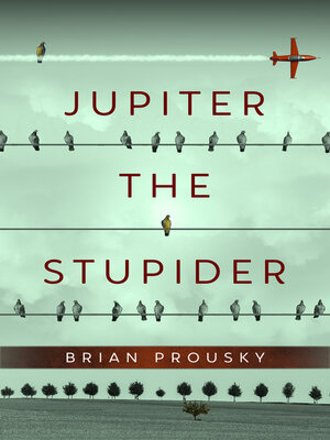cover image of Jupiter the Stupider